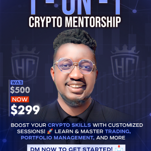 1 on 1 mentorship